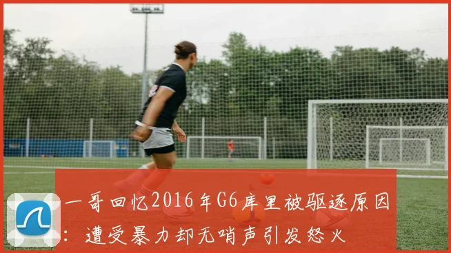 一哥回忆2016年G6库里被驱逐原因：遭受暴力却无哨声引发怒火